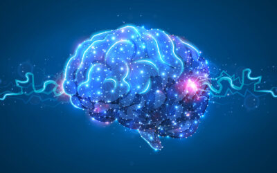 What can brain mapping / qEEG detect?